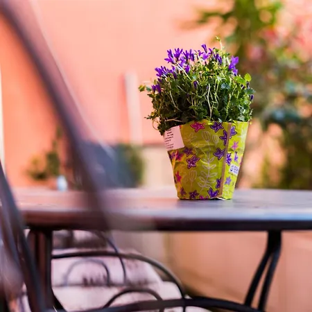 Apartamento Serenity *